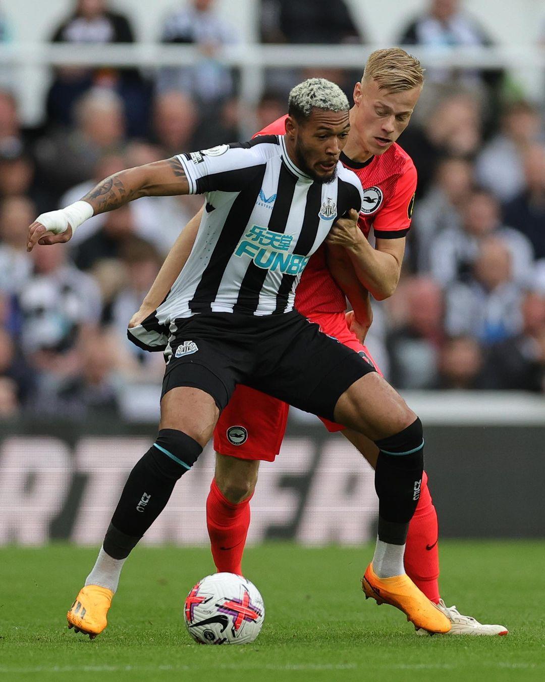 拥有一位高 拥有一位高